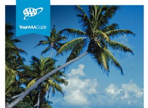Ultimate Ocean Cruise Guide: Plan, Prepare, and Enjoy Your Next Seafaring Vacation