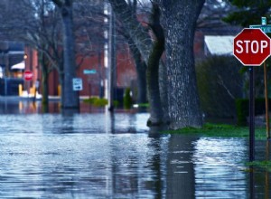 Avoid Hidden Risks: Spotting Flood‑Damaged Cars in the Used Vehicle Market