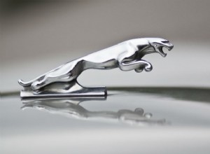 From Iconic Accents to Rare Treasures: The Story of Car Hood Ornaments