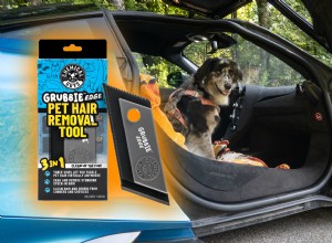 Keep Your Car Spotless: The Best Pet Hair Remover for Dog Owners