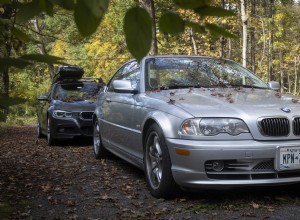 Keep Your Car Paint Pristine: Remove Fallen Leaves Immediately