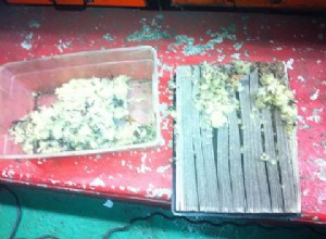 Prevent Engine Misfires: Keep Air Filters Free of Mice