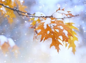 Winter Tire Timing: Expert Tips for a Safe Seasonal Switch
